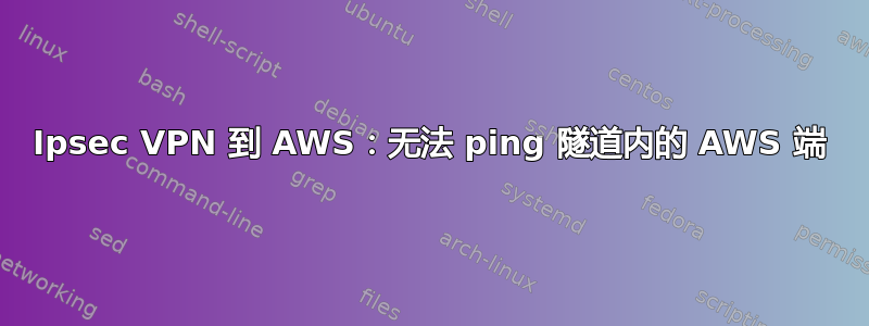 Ipsec VPN 到 AWS：无法 ping 隧道内的 AWS 端