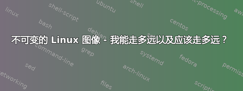 不可变的 Linux 图像 - 我能走多远以及应该走多远？