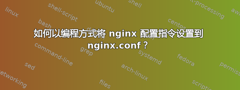 如何以编程方式将 nginx 配置指令设置到 nginx.conf？