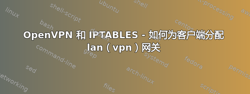 OpenVPN 和 IPTABLES - 如何为客户端分配 lan（vpn）网关