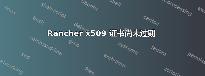 Rancher x509 证书尚未过期