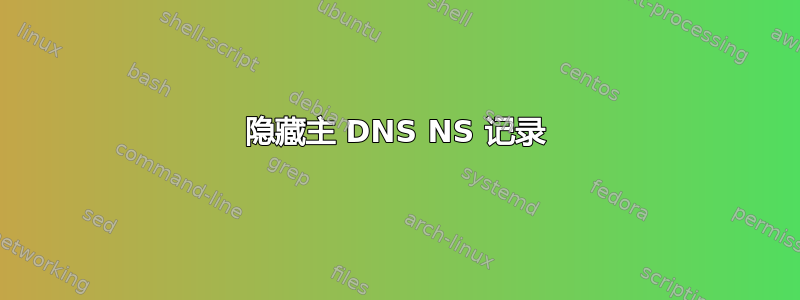 隐藏主 DNS NS 记录