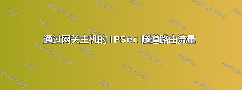 通过网关主机的 IPSec 隧道路由流量