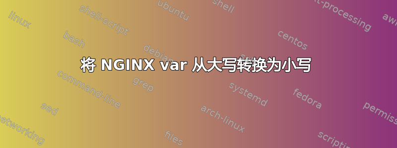 将 NGINX var 从大写转换为小写