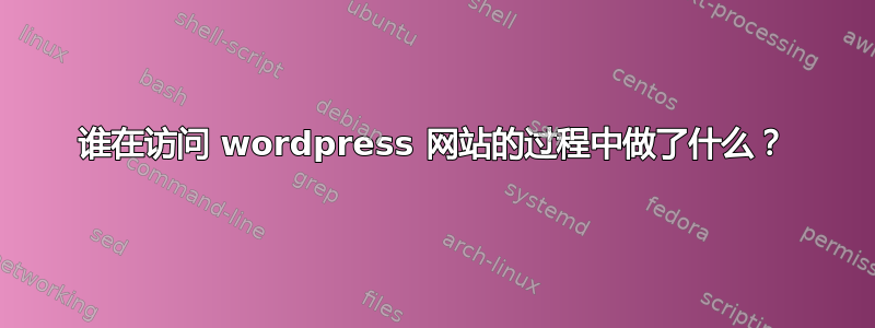 谁在访问 wordpress 网站的过程中做了什么？