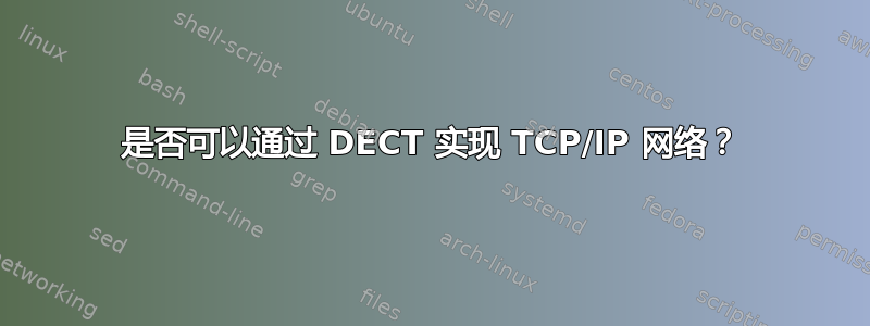 是否可以通过 DECT 实现 TCP/IP 网络？