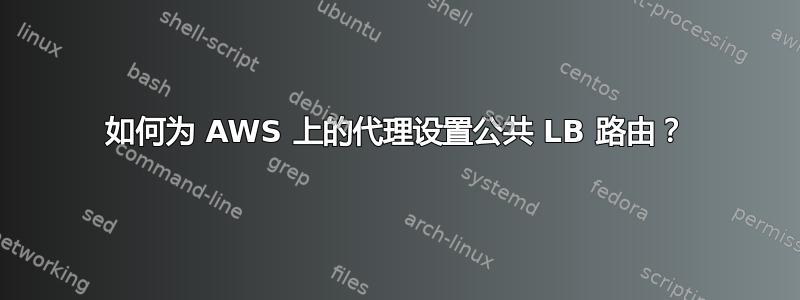 如何为 AWS 上的代理设置公共 LB 路由？