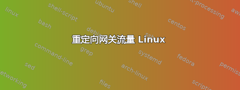 重定向网关流量 Linux