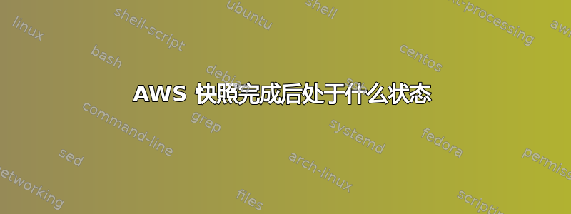 AWS 快照完成后处于什么状态