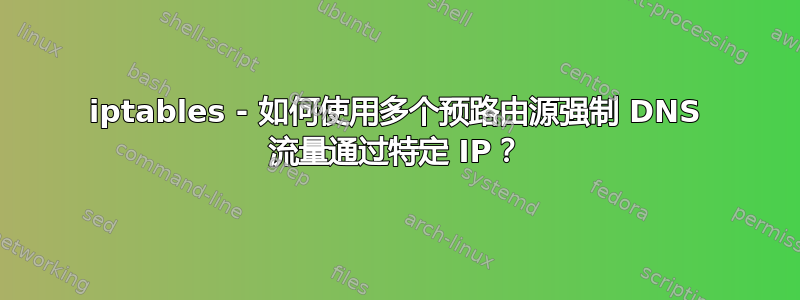 iptables - 如何使用多个预路由源强制 DNS 流量通过特定 IP？