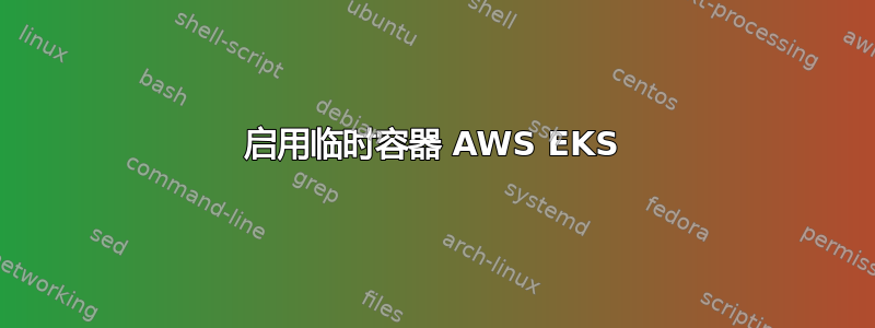 启用临时容器 AWS EKS