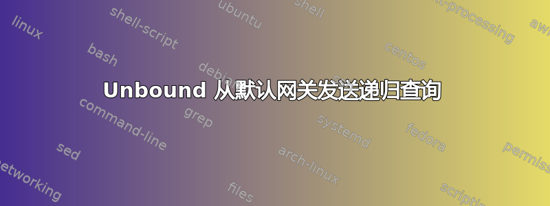 Unbound 从默认网关发送递归查询