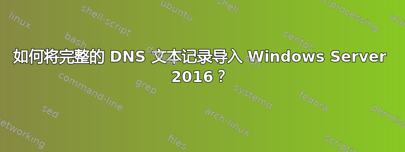 如何将完整的 DNS 文本记录导入 Windows Server 2016？