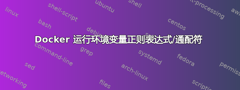 Docker 运行环境变量正则表达式/通配符