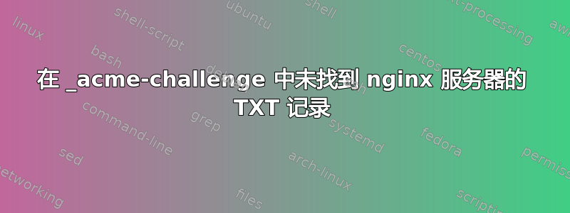 在 _acme-challenge 中未找到 nginx 服务器的 TXT 记录