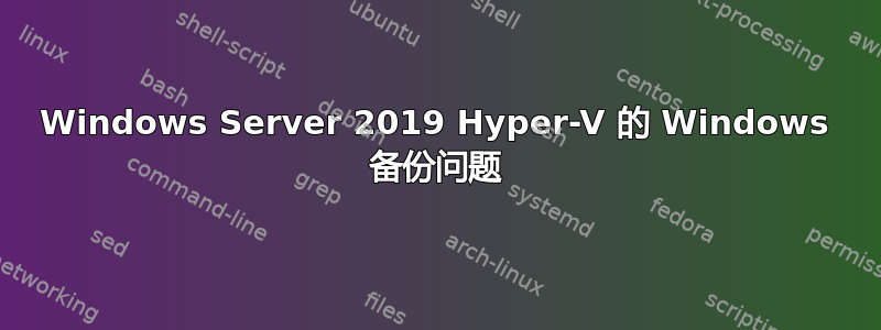 Windows Server 2019 Hyper-V 的 Windows 备份问题