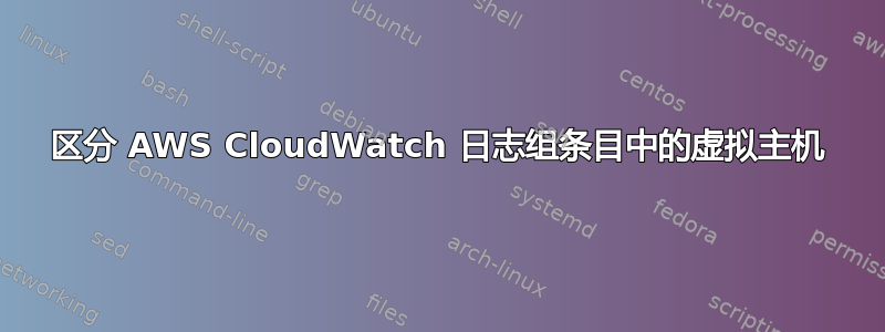 区分 AWS CloudWatch 日志组条目中的虚拟主机