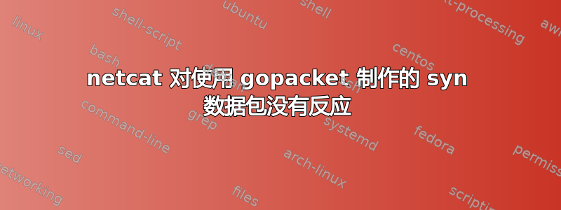 netcat 对使用 gopacket 制作的 syn 数据包没有反应