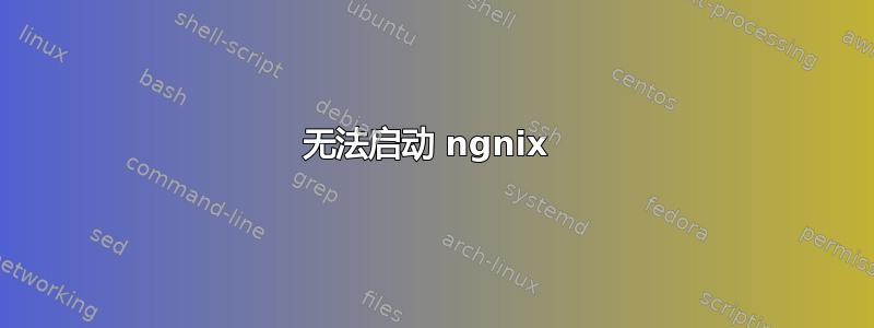 无法启动 ngnix 