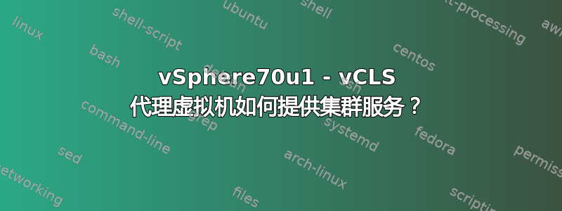 vSphere70u1 - vCLS 代理虚拟机如何提供集群服务？