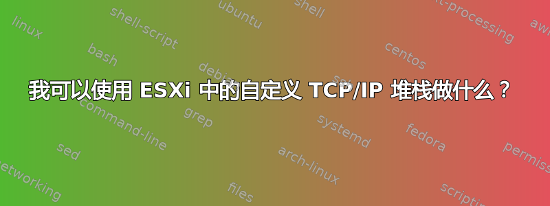 我可以使用 ESXi 中的自定义 TCP/IP 堆栈做什么？