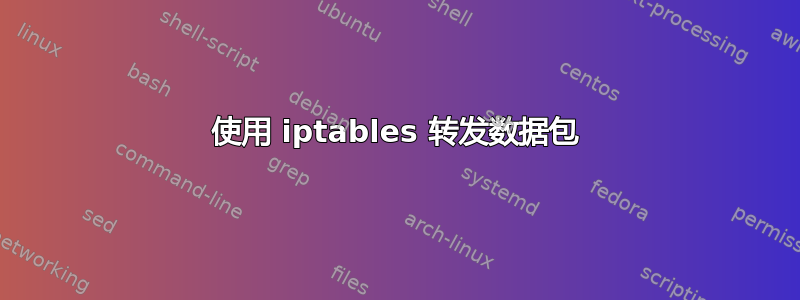 使用 iptables 转发数据包