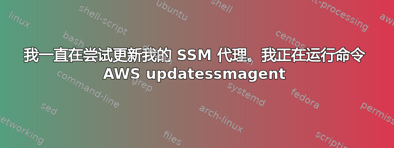 我一直在尝试更新我的 SSM 代理。我正在运行命令 AWS updatessmagent