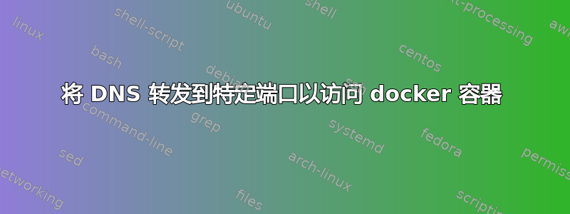 将 DNS 转发到特定端口以访问 docker 容器