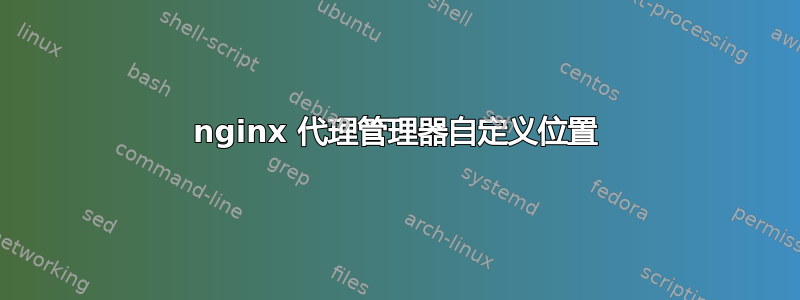 nginx 代理管理器自定义位置