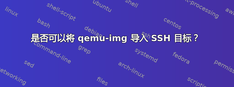 是否可以将 qemu-img 导入 SSH 目标？