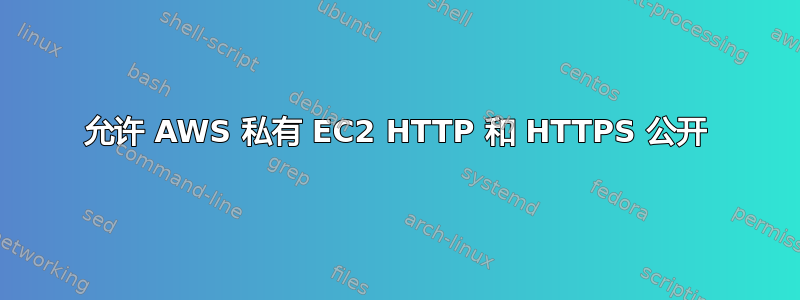 允许 AWS 私有 EC2 HTTP 和 HTTPS 公开