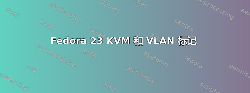 Fedora 23 KVM 和 VLAN 标记