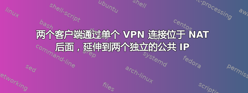 两个客户端通过单个 VPN 连接位于 NAT 后面，延伸到两个独立的公共 IP