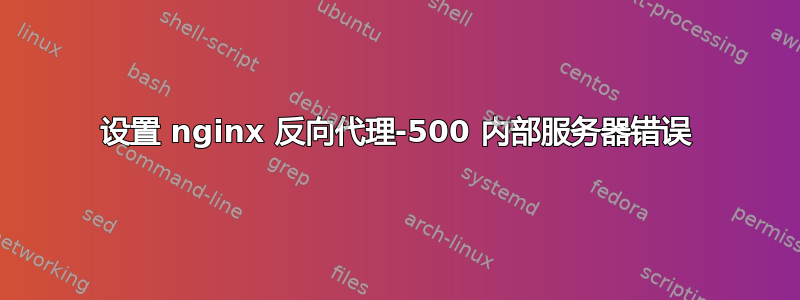 设置 nginx 反向代理-500 内部服务器错误