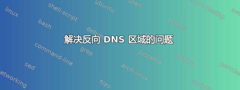 解决反向 DNS 区域的问题