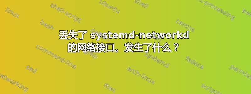 丢失了 systemd-networkd 的网络接口。发生了什么？