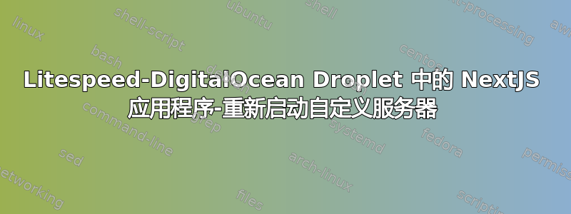 Litespeed-DigitalOcean Droplet 中的 NextJS 应用程序-重新启动自定义服务器