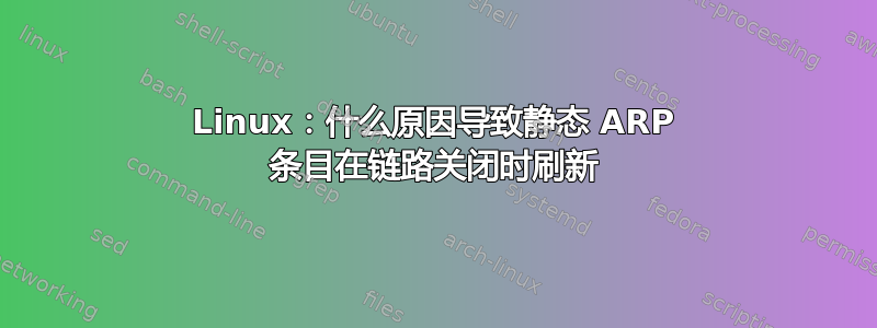 Linux：什么原因导致静态 ARP 条目在链路关闭时刷新