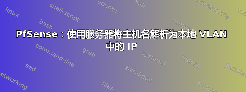 PfSense：使用服务器将主机名解析为本地 VLAN 中的 IP