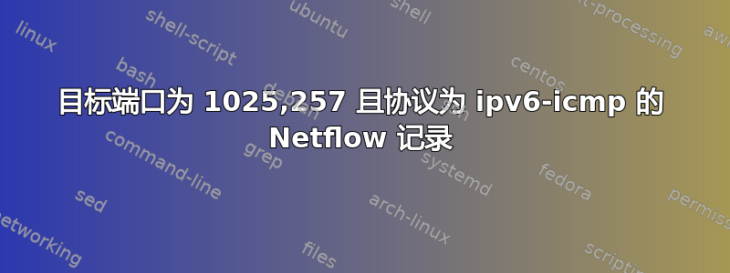 目标端口为 1025,257 且协议为 ipv6-icmp 的 Netflow 记录