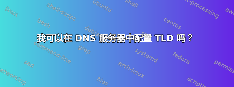 我可以在 DNS 服务器中配置 TLD 吗？