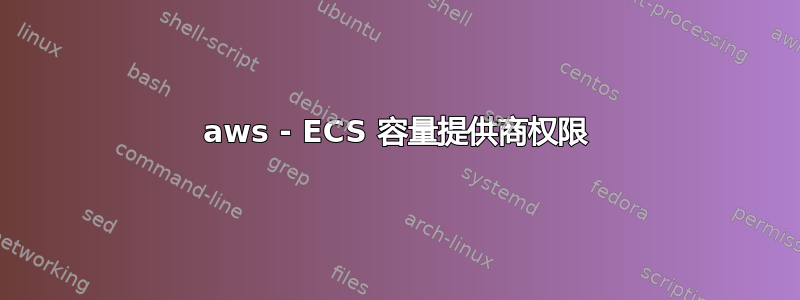 aws - ECS 容量提供商权限