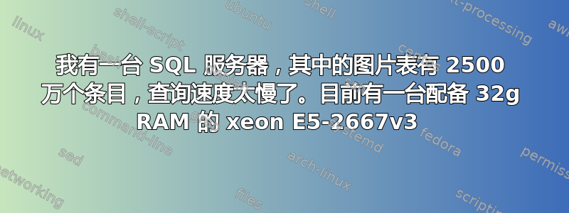 我有一台 SQL 服务器，其中的图片表有 2500 万个条目，查询速度太慢了。目前有一台配备 32g RAM 的 xeon E5-2667v3 