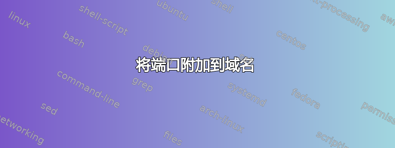 将端口附加到域名