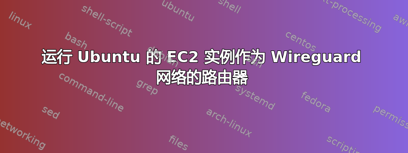 运行 Ubuntu 的 EC2 实例作为 Wireguard 网络的路由器