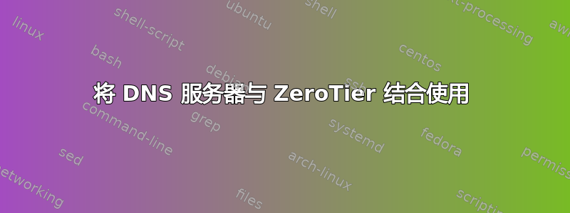 将 DNS 服务器与 ZeroTier 结合使用