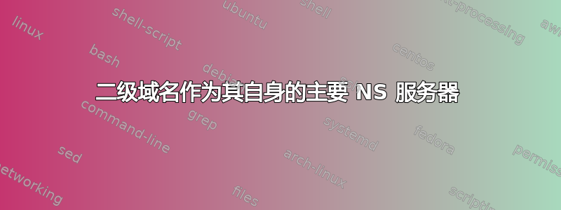 二级域名作为其自身的主要 NS 服务器