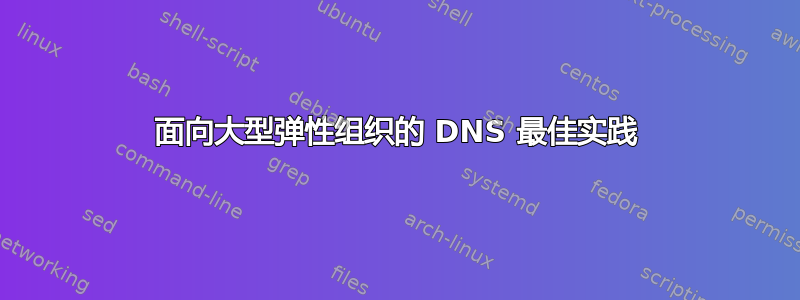 面向大型弹性组织的 DNS 最佳实践