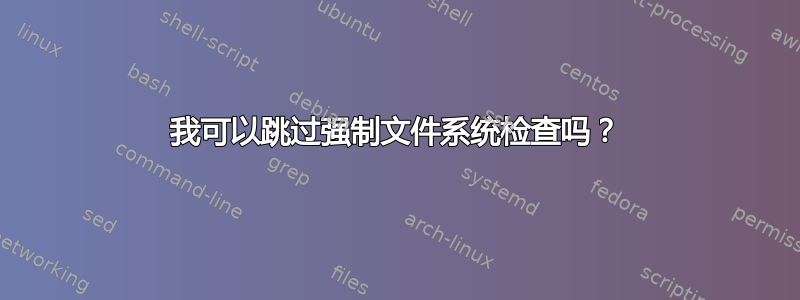 我可以跳过强制文件系统检查吗？