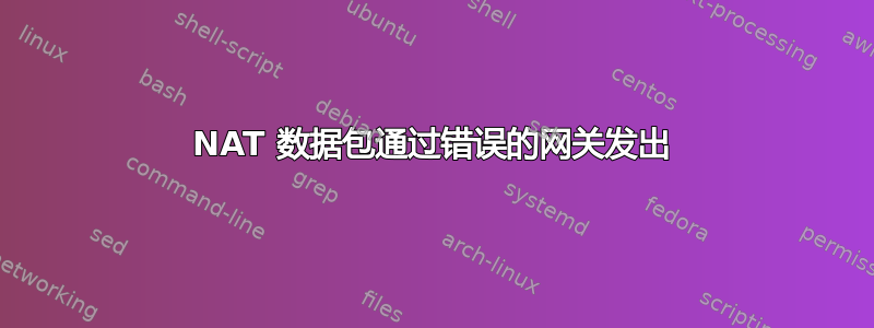 NAT 数据包通过错误的网关发出